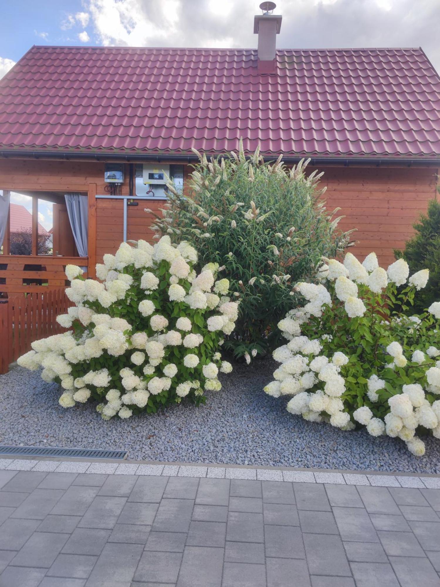 Miodowa Sadyba Domki Caloroczne Kluczbork Ligota Zamecka Eksteriør billede